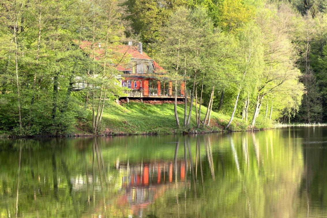 Ferienwohnungen & Campingfaesser Am Kunstteich Wettelrode Camera foto
